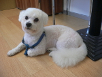 2013-04-18 14.48.14.jpg
